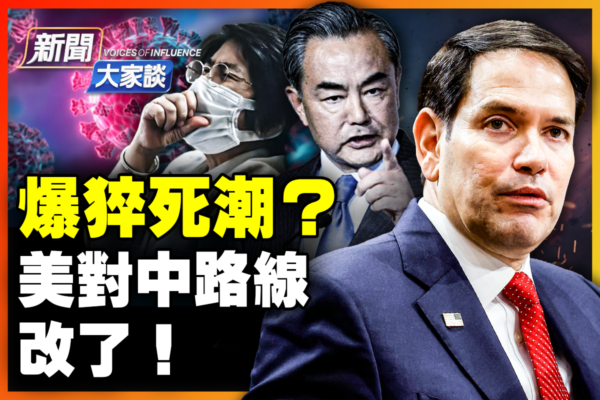 青岛海牛一