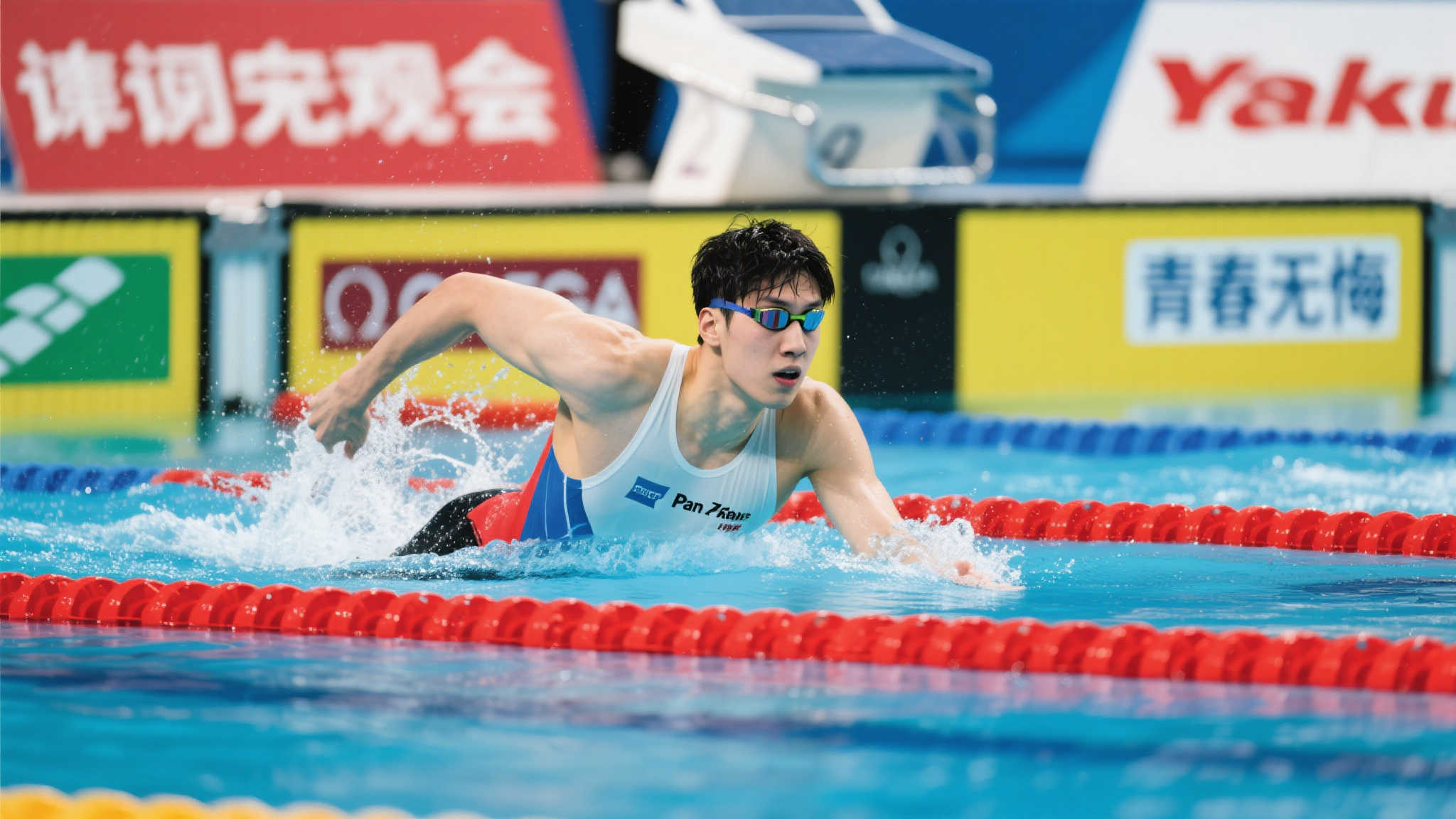 与其同城对 与其同城对