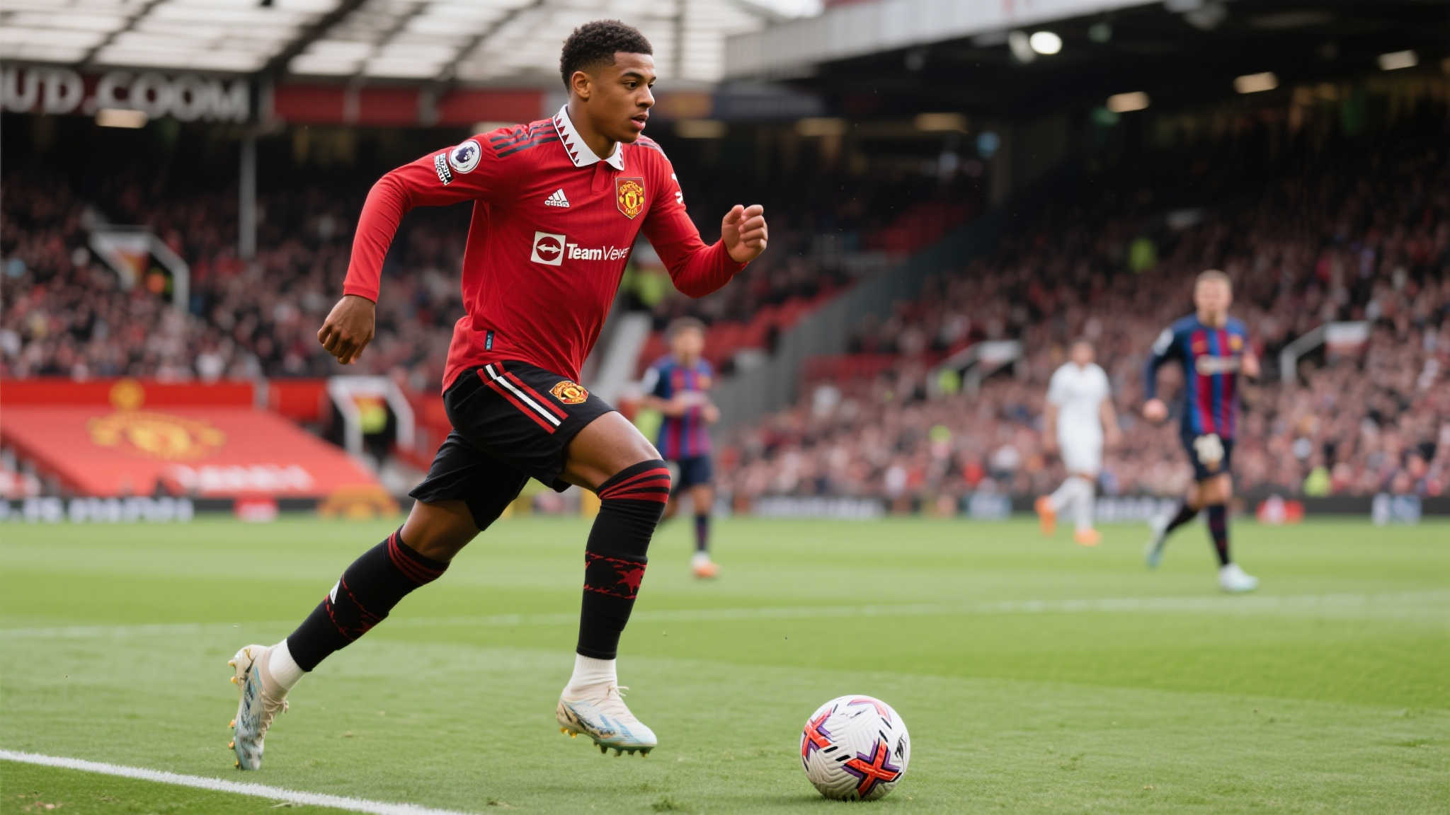 这不仅是对 这不仅是对