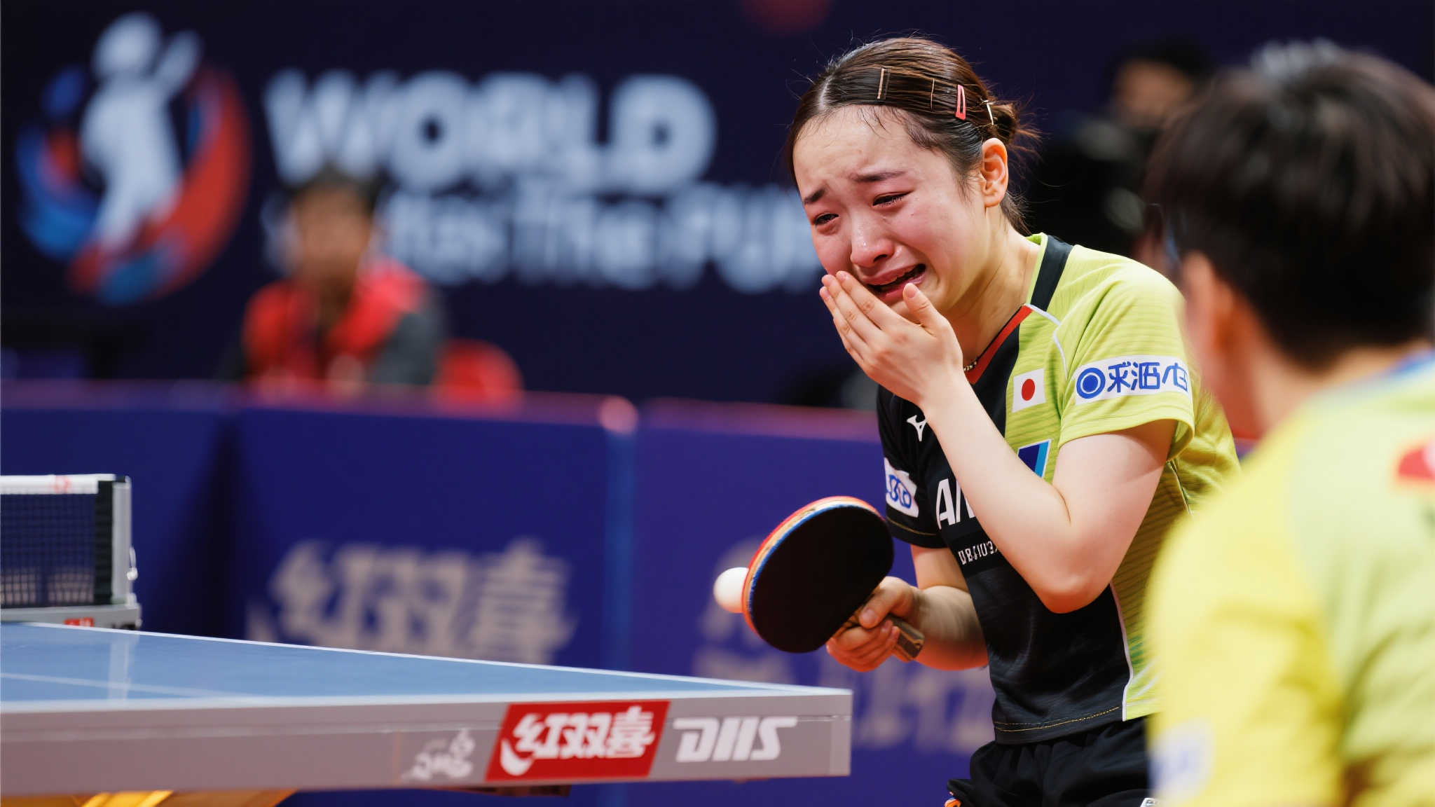 加之此前引 加之此前引